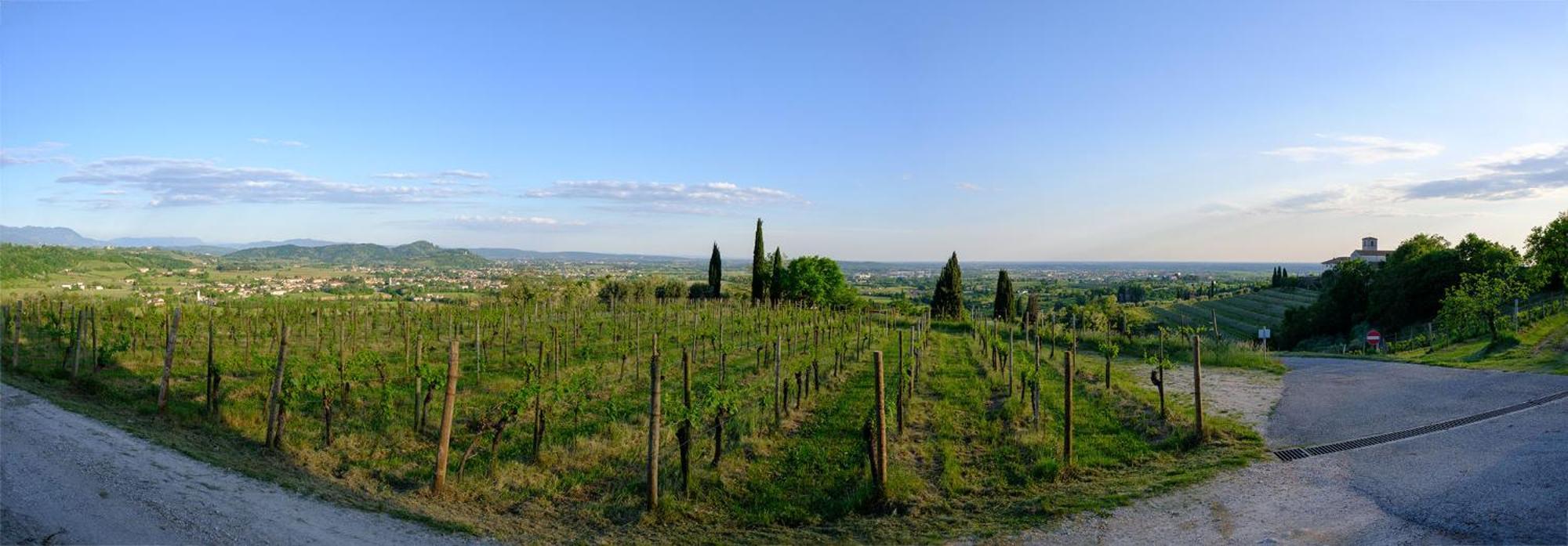 Le Badie Wine Resort Rosazzo Dış mekan fotoğraf