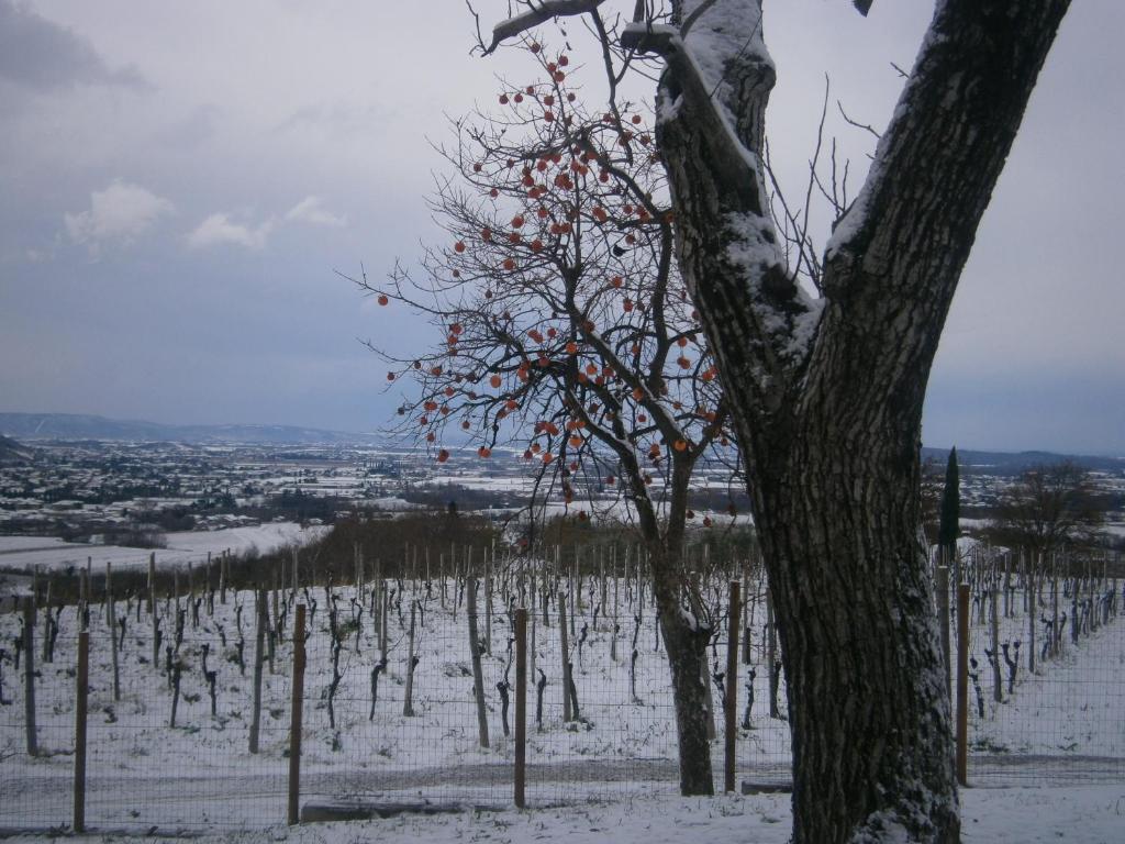 Le Badie Wine Resort Rosazzo Dış mekan fotoğraf